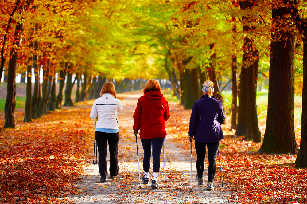Nordic Walking Trails Is Nordic Walking Better Than Regular Walking?