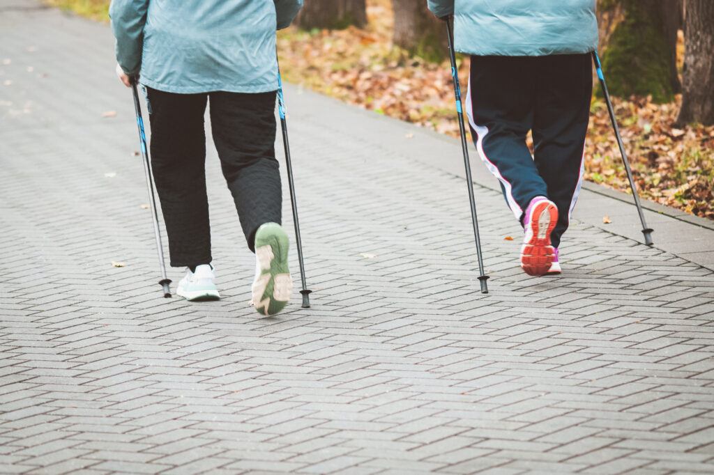 Safe Nordic Walking